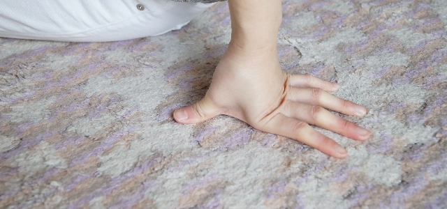 カーペットクリーニング（繊維床）